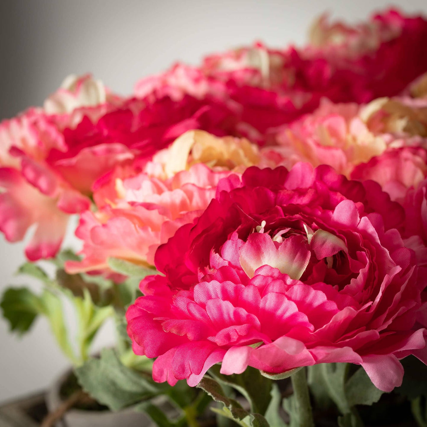 Elegant Potted Pink Peony