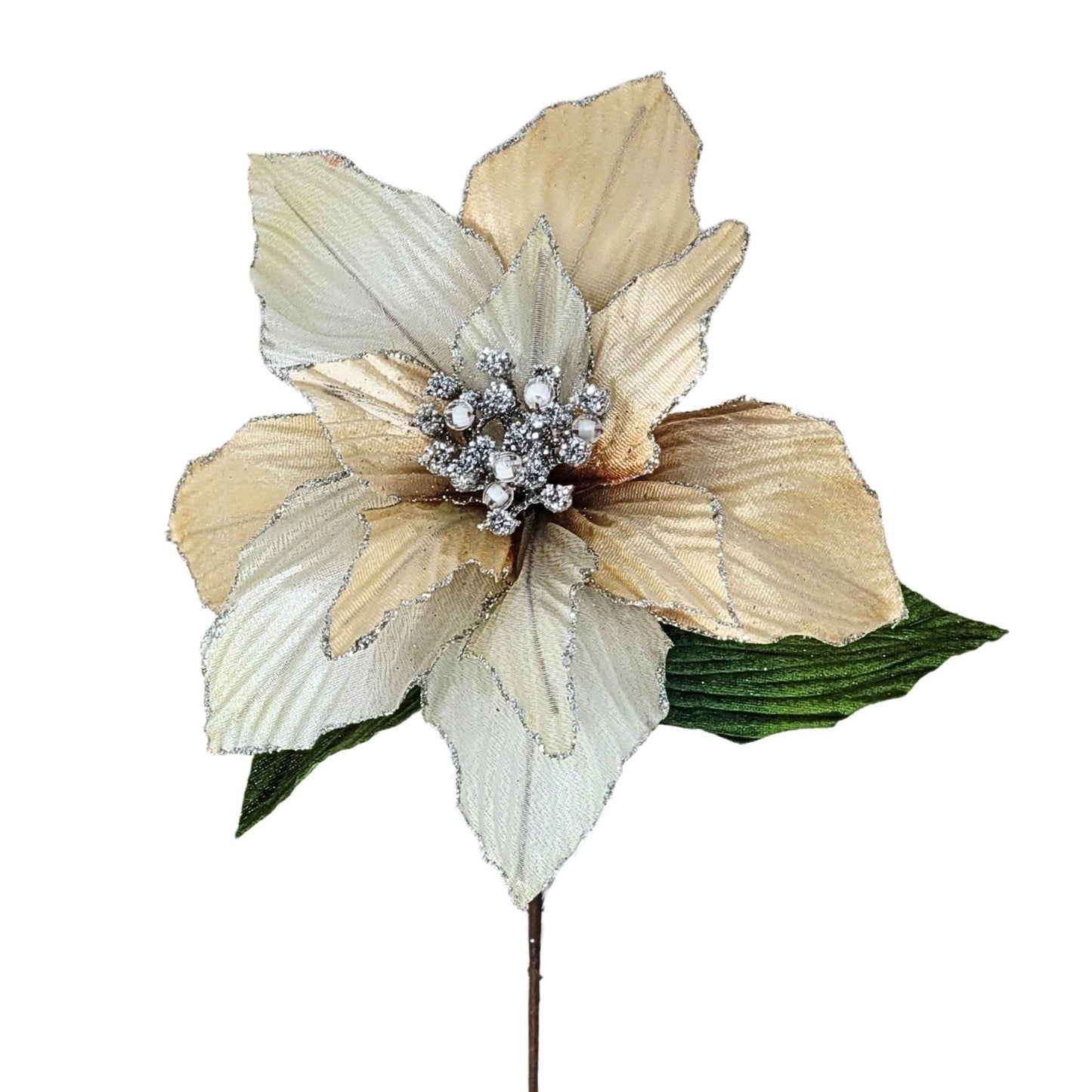 Ombre Shimmer Poinsettia Stem - Ivory/Champagne 19”