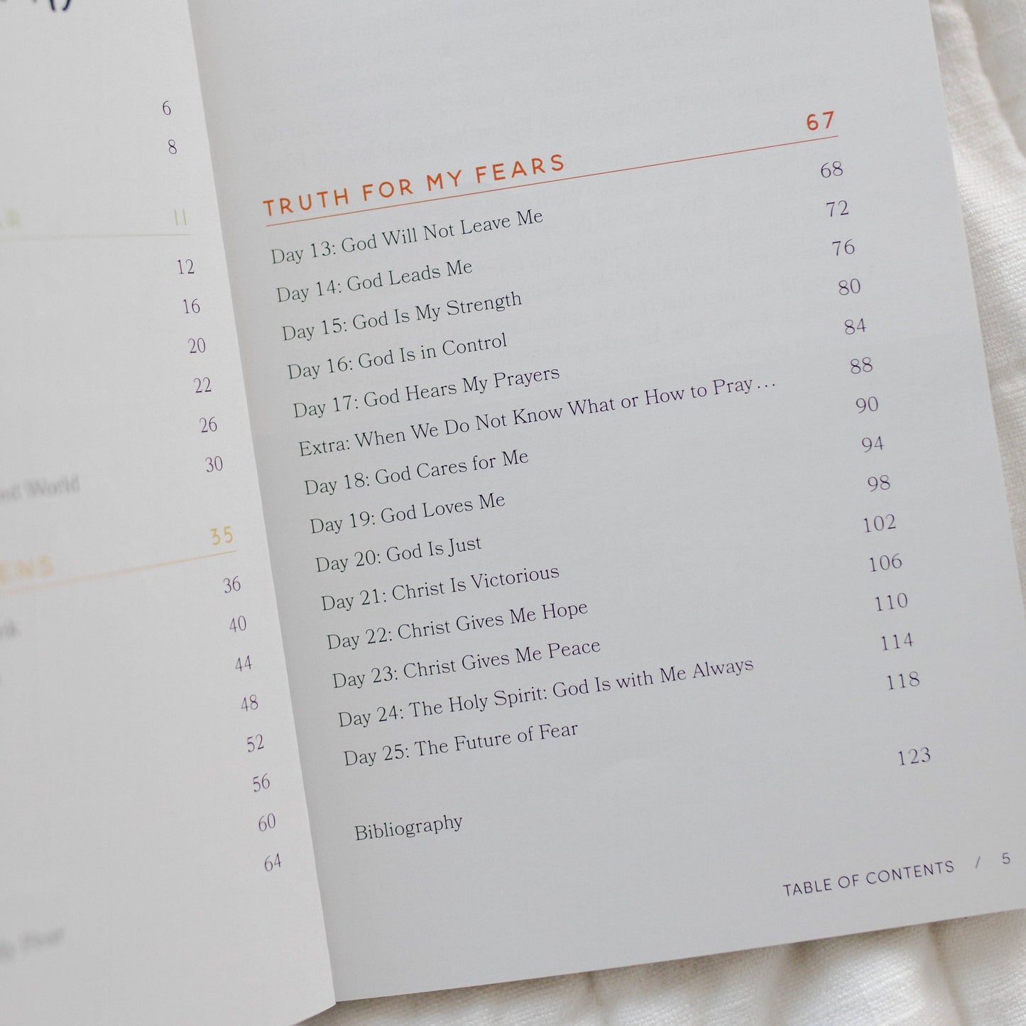 The Daily Grace Co - Fear Not | Gospel Hope for Worried Teens