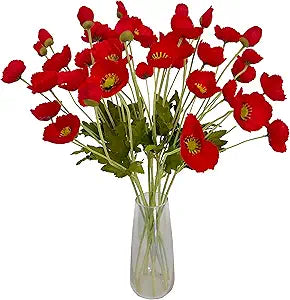 Red Poppy Flowers