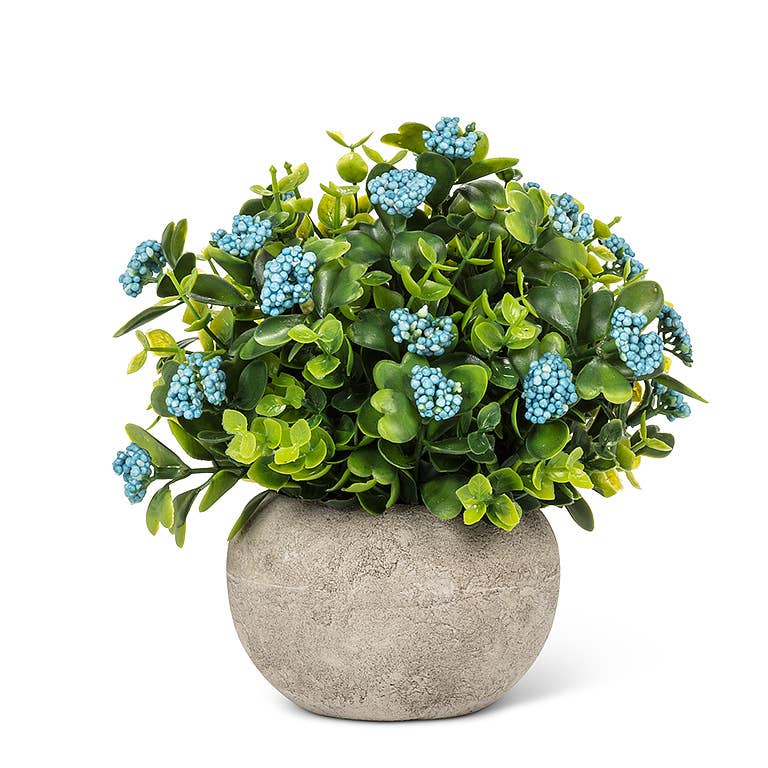 Low Flowering Plant Pot