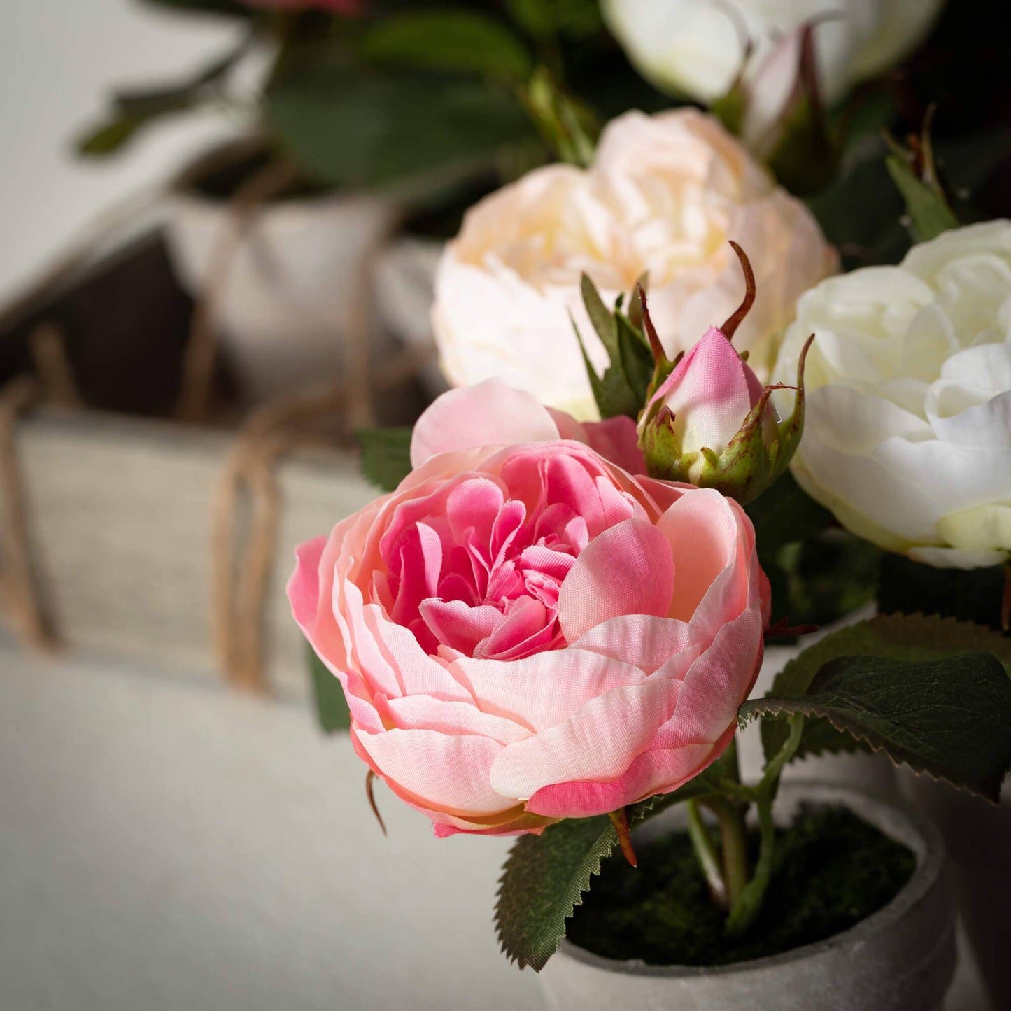 Sweet Potted Pink Rose