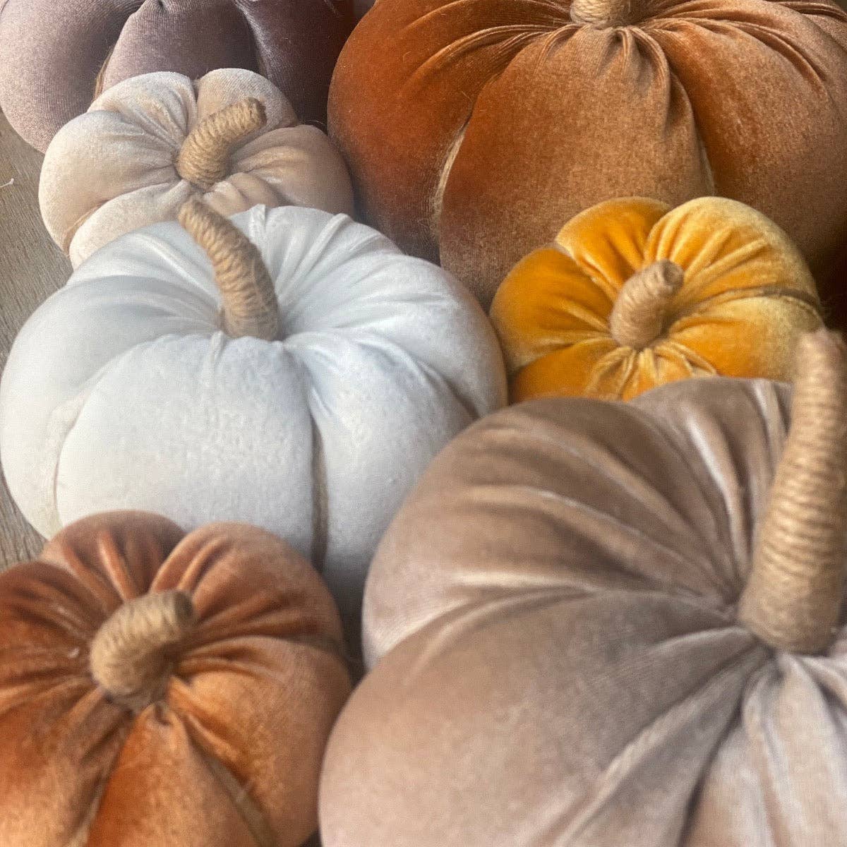 Med. Saddle Velvet Fall Pumpkin