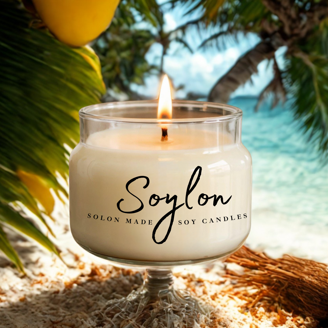 Soylon 2 Wick Candle Mango Coconut Milk