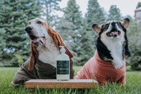 Dirt Road Candle Co - Hoodie Season Hand Soap: Hand Soap