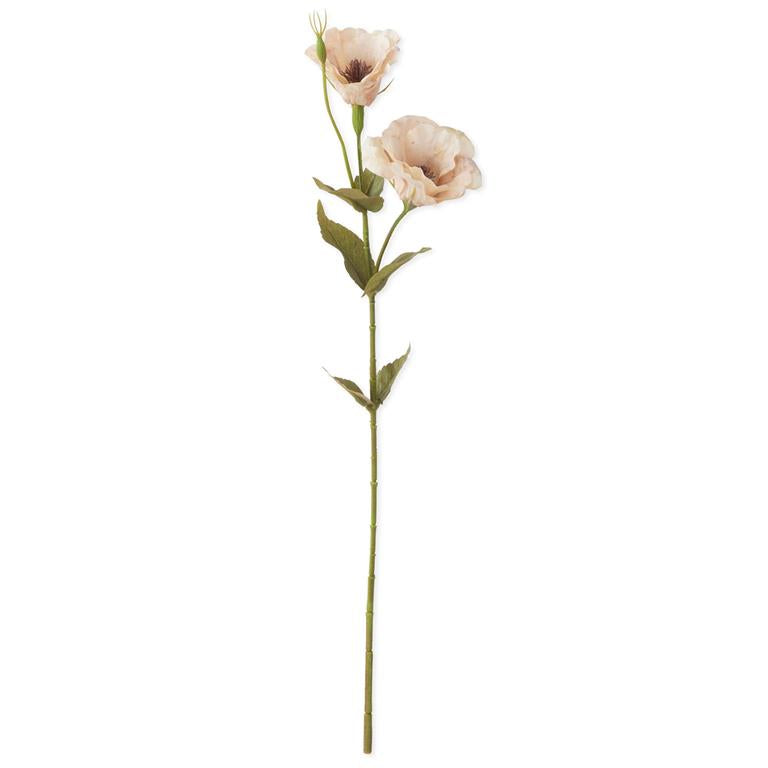 Cream Real Touch Bellflower