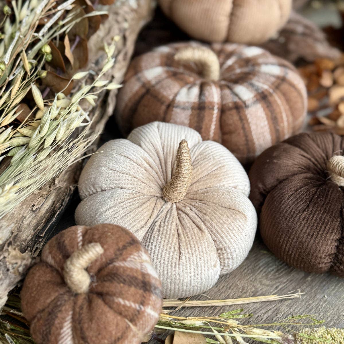 Med. Almond Corduroy Pumpkin