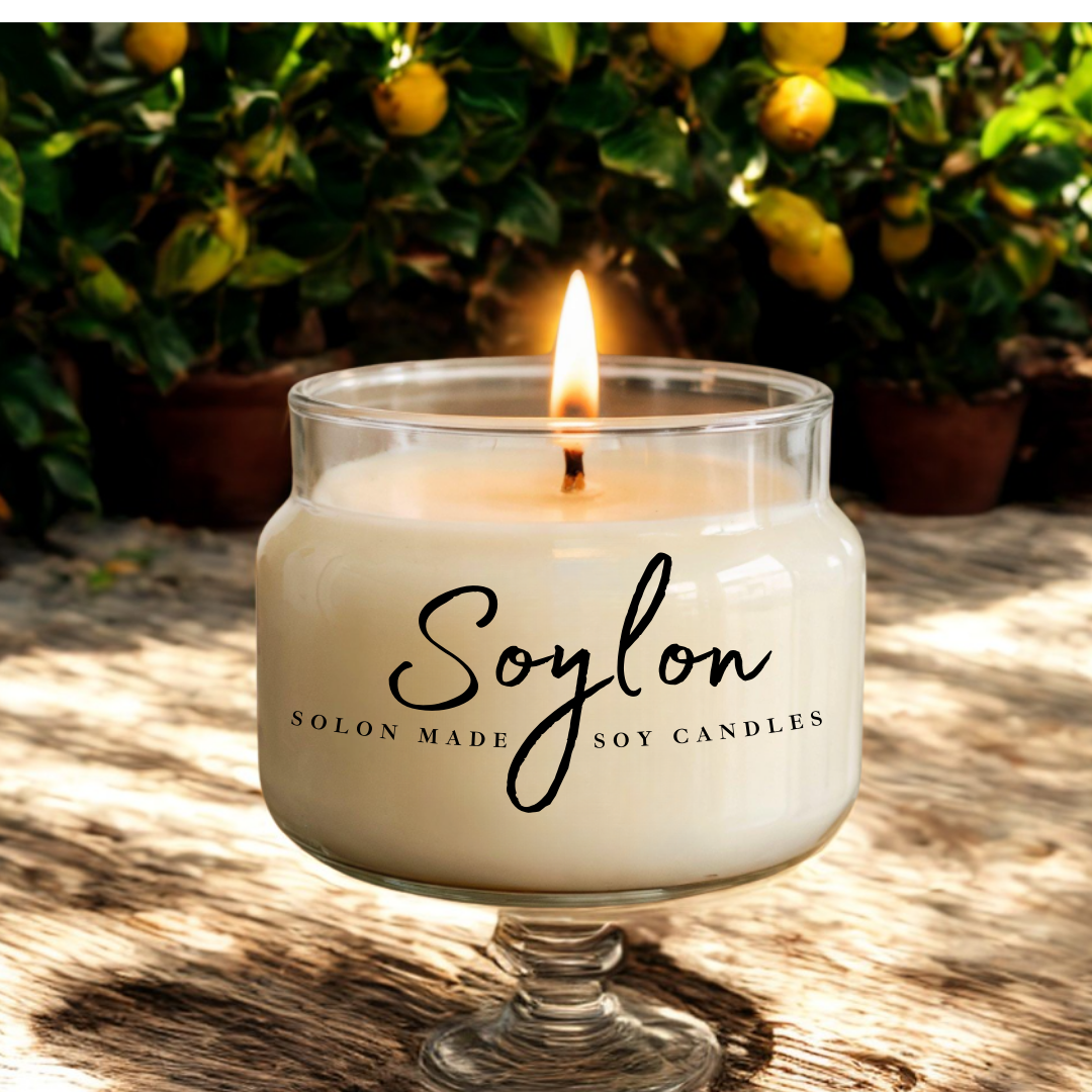 Soylon 2 Wick Candle Citrus Grove