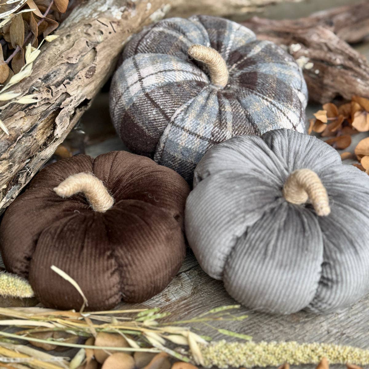 Med. Mocha Corduroy Pumpkin