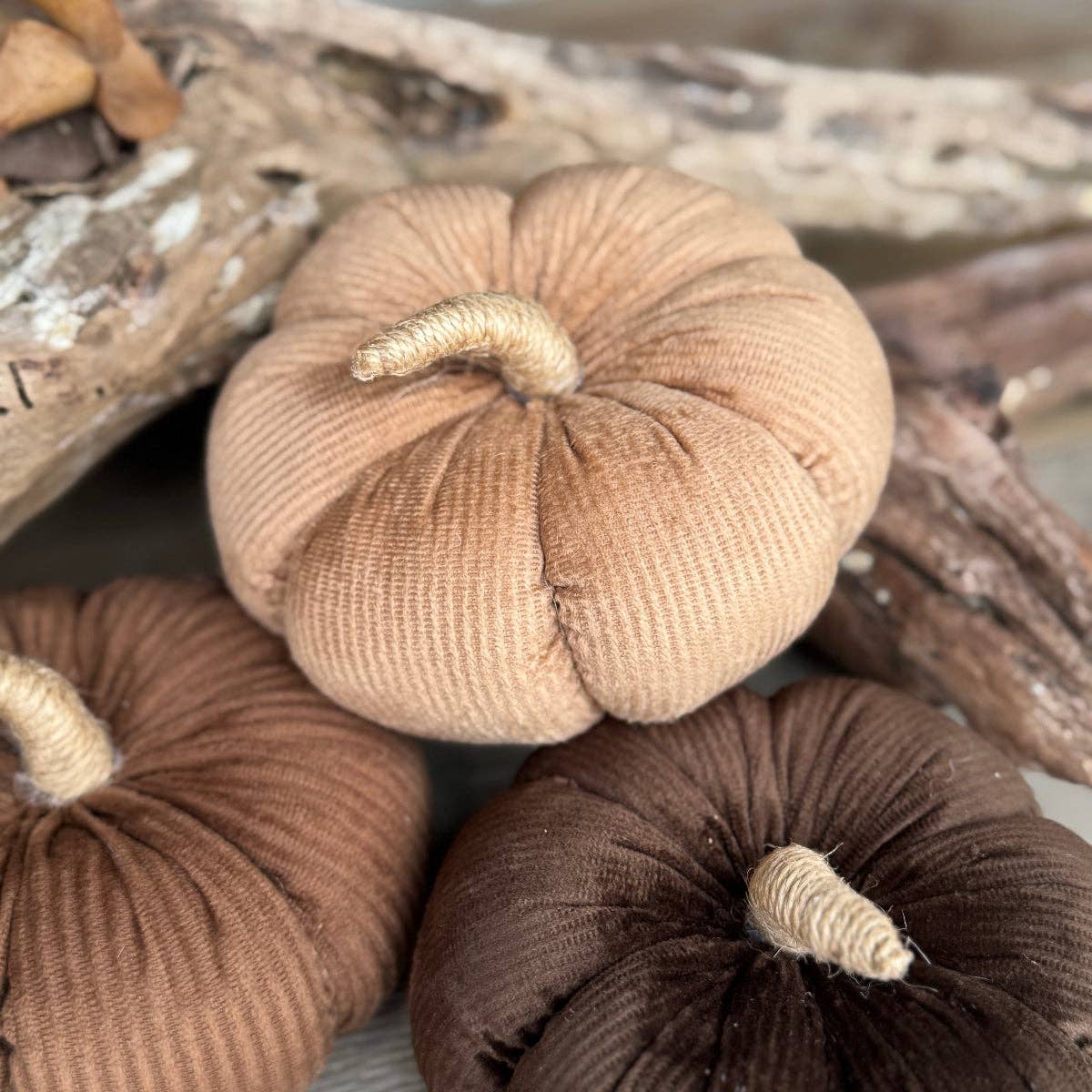 Med. Tan Corduroy Pumpkin