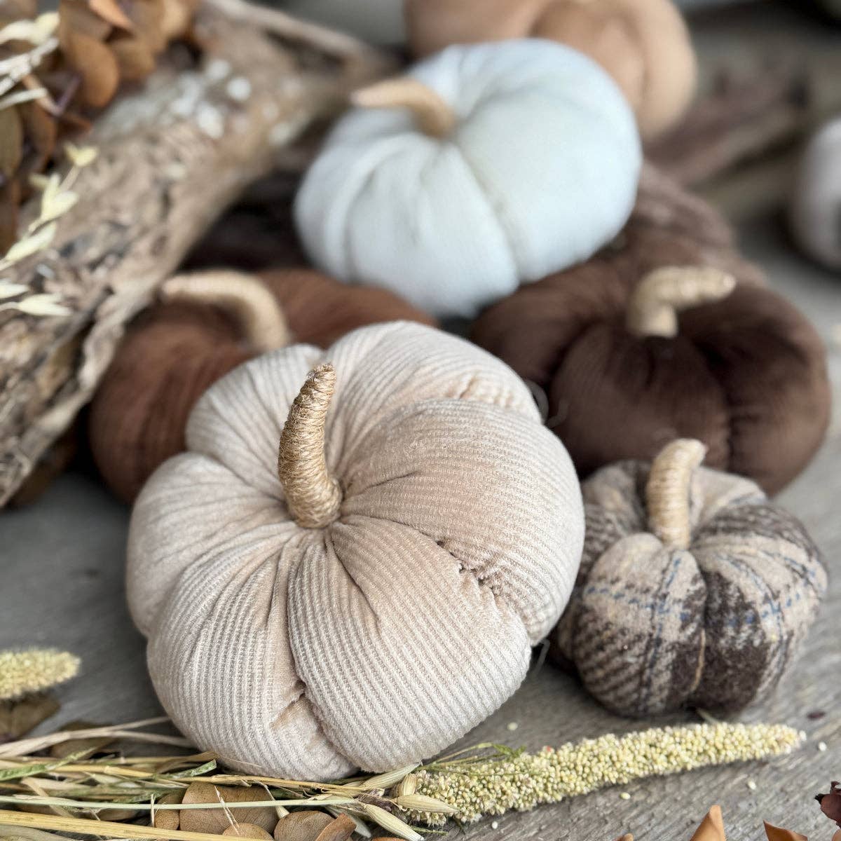 Med. Almond Corduroy Pumpkin