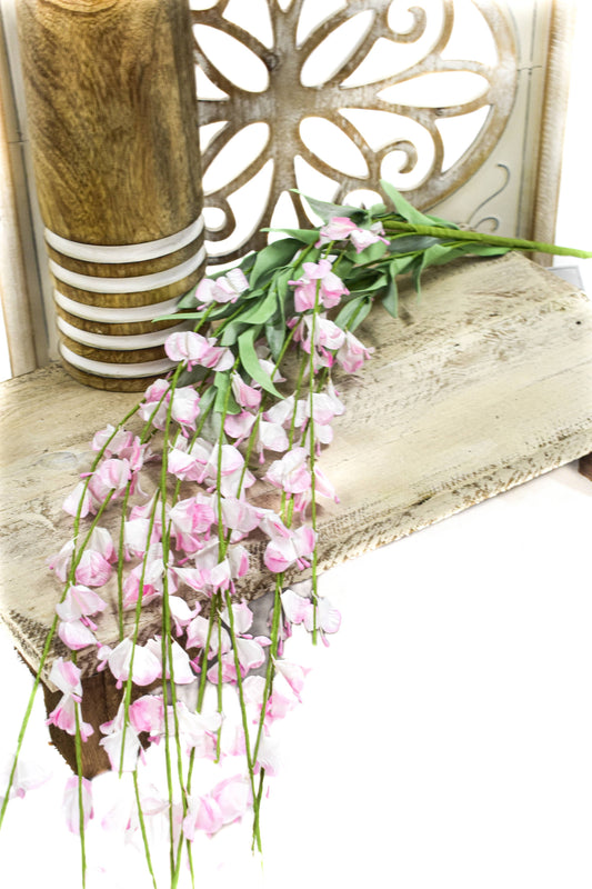 Light Pink Hanging Wisteria 4ft