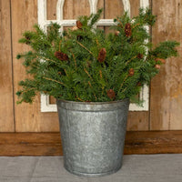25" ANGEL PINE SPRAY WITH CONES